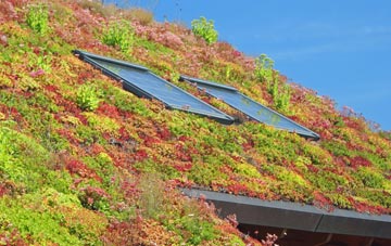 Benfieldside living roof systems