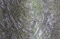 Benfieldside fibreglass roof work